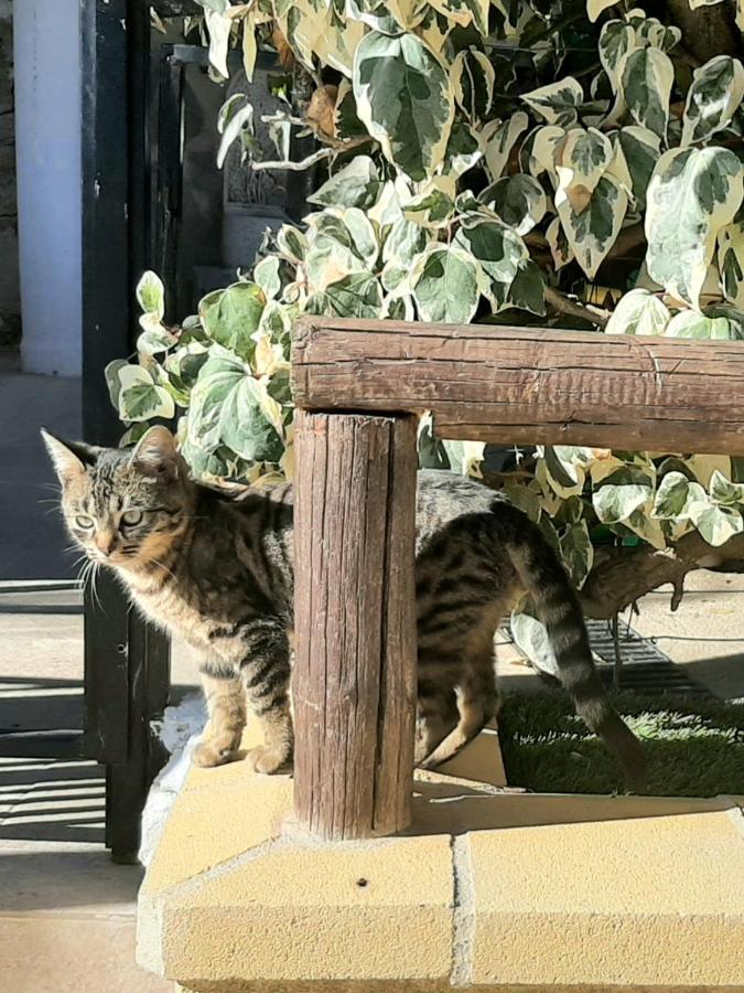 Rural Cristi