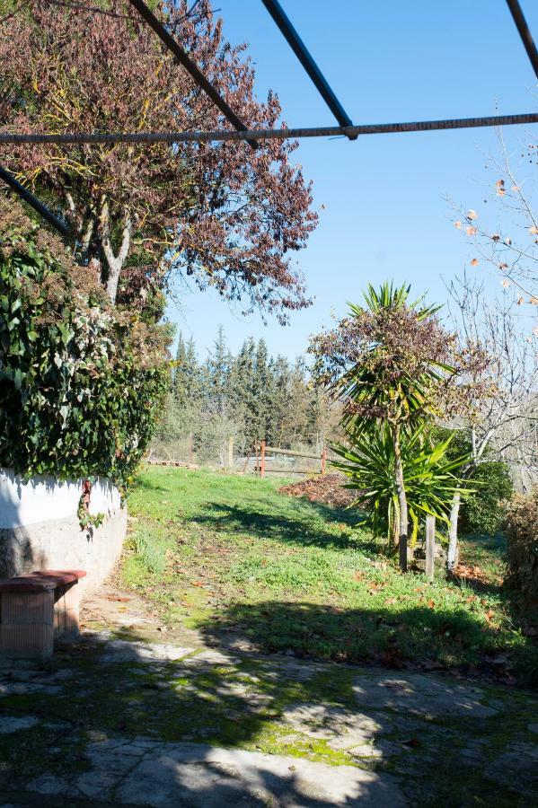 Appartement Rural Cristi *